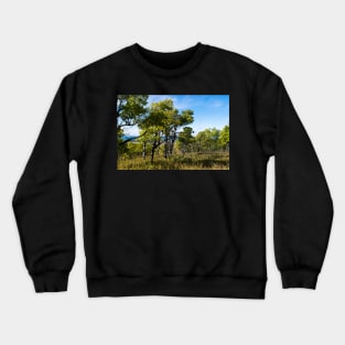 Fall scenery Crewneck Sweatshirt